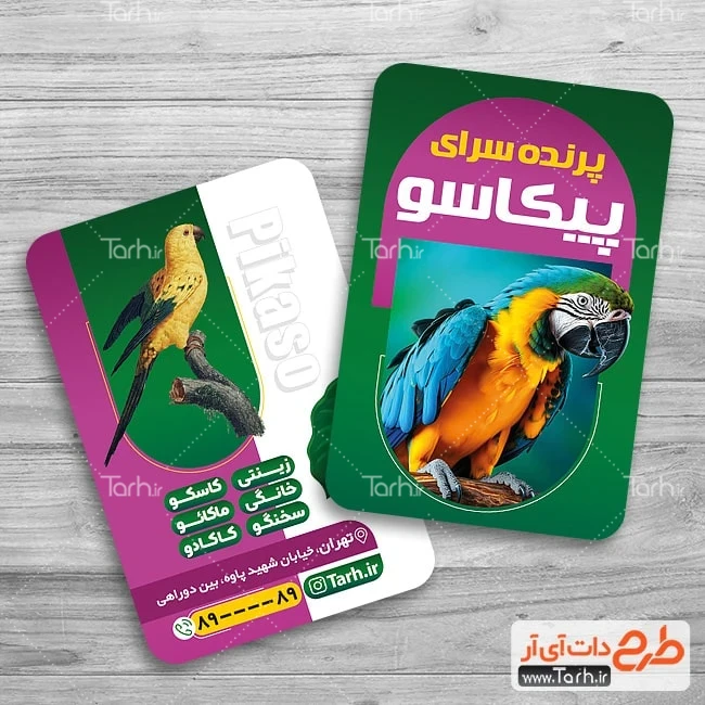 طرح لایه باز کارت ویزیت پرنده سرا طرح آماده کارت ویزیت پرنده فروشی شامل عکس پرنده