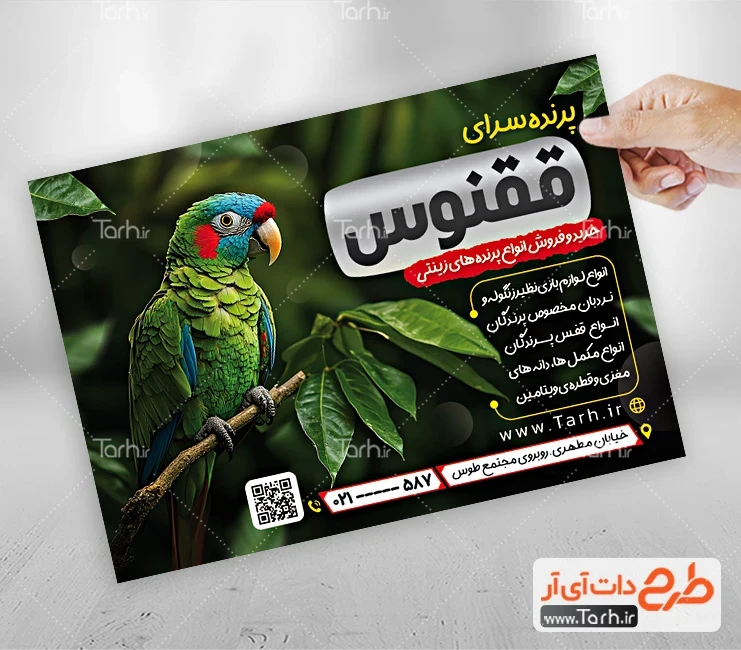 تراکت لایه باز پرنده سرا طرح تراکت تبلیغاتی پرنده فروشی با عکس طوطی
