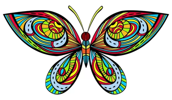 دانلود عکس نقاشی پروانه با کیفیت بالا