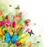 تصویر با کیفیت گل و پروانه