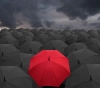 دانلود عکس باکیفیت چترهای سیاه و قرمز