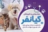 کارت ویزیت کلینیک دامپزشکی شامل عکس سگ جهت چاپ کارت ویزیت کلینیک دامپزشکی