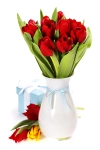 تصویر با کیفیت تکستچر گل سرخ