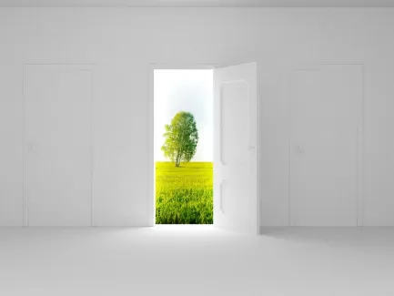 عکس باکیفیت درب سفید و درخت عکس باکیفیت درب سفید و درخت
