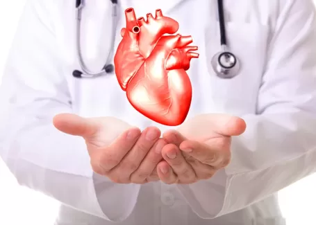 دانلود تصویر باکیفیت آناتومی قلب و رگ های قلب
