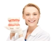 دانلود تصویر کیفیت ماکت دندان در دست پزشک 