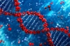 تصویر سه بعدی باکیفیت DNA