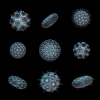 تصویر باکیفیت انواع  باکتری 