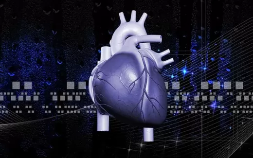 تصویر باکیفیت آناتومی سه بعدی قلب و رگ های قلب