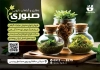 طرح تراکت لایه باز داروهای گیاهی شامل عکس گیاهان دارویی جهت چاپ تراکت تبلیغاتی عرقیجات