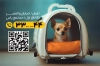 دانلود کارت ویزیت پت شاپ شامل عکس سگ جهت چاپ کارت ویزیت فروش لوازم حیوانات خانگی