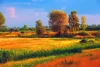 تصویر با کیفیت نقاشی پاییزی