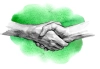 عکس با کیفیت دست دادن