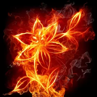 عکس استوک باکیفیت آتش به شکل گل