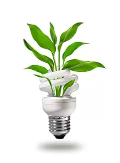 تصویر استوک باکیفیت لامپ و گیاه تصویر استوک باکیفیت لامپ و گیاه