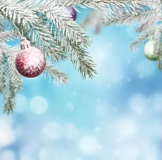 دانلود عکس با کیفیت زنگوله تزئینی کریسمس بر درخت