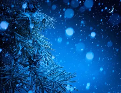 دانلود عکس با کیفیت درخت کریسمس در برف