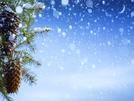 دانلود عکس با کیفیت درخت کریسمس از نمای نزدیک