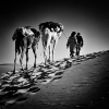 دانلود تصویر باکیفیت شتر سوار در کویر