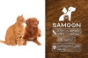 دانلود کارت ویزیت نگهداری حیوانات خانگی شامل عکس سگ و گربه جهت چاپ کارت ویزیت پانسیون حیوانات