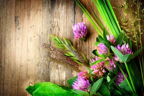 تصویر استوک باکیفیت بک گراند چوبی و گل های بهاری