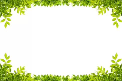 دانلود تصویر با کیفیت قاب گل دانلود تصویر با کیفیت قاب گل