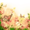 منظره با کیفیت پروانه و گل