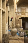  تصویر  استوک با کیفیت طوطی
