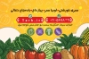 طرح کارت ویزیت لایه باز سوپر میوه شامل وکتور سبزیجات جهت چاپ کارت ویزیت سبزیجات آماده طبخ