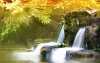 عکس با کیفیت آبشار