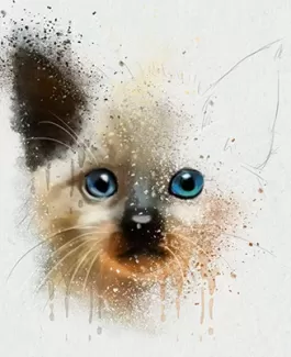 تصویر با کیفیت نقاشی گربه