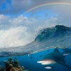 تصویر با کیفیت نهنگ و موج دریا