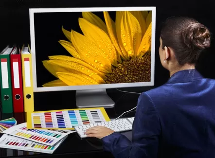 عکس باکیفیت کاتالوگ رنگ طراحی عکس باکیفیت کاتالوگ رنگ طراحی