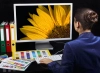عکس باکیفیت کاتالوگ رنگ طراحی 