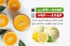 کارت ویزیت آبمیوه بستنی با عکس آبمیوه