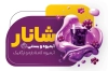 طرح کارت ویزیت خام آبمیوه بستنی با عکس آبمیوه