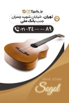 کارت ویزیت آموزشگاه موسیقی شامل  عکس گیتار