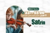 کارت ویزیت آموزشگاه موسیقی شامل عکس ویولن