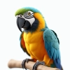 عکس حرفه ای پرنده