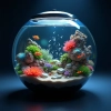 عکس حرفه ای آکواریوم