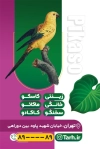کارت ویزیت پرنده فروشی شامل عکس پرنده