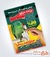 طرح آماده تراکت پرنده فروشی دارای عکس طوطی