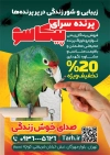 طرح تراکت پرنده سرا با تصویرسازی پرنده