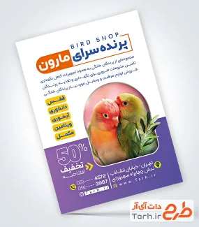 طرح خام تراکت پرنده فروشی دارای عکس طوطی