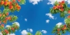 دانلود آسمان مجازی طبیعت