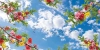 دانلود آسمان مجازی طبیعت
