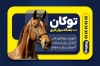 طرح کارت ویزیت باشگاه سوارکاری شامل عکس اسب