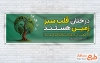طرح پلاکارد آماده روز درختکاری شامل تصویرسازی درخت و کبوتر
