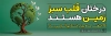 طرح پلاکارد روز درختکاری شامل تصویرسازی درخت و کره زمین