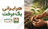 بنر روز لایه باز درختکاری شامل وکتور درخت کاج و گل و دست جهت چاپ بنر و پوستر پانزدهم روز درخت